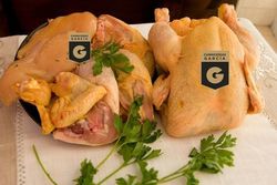 Pollo para guisar